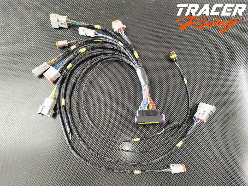 Generic ECUmaster PMU-16 wiring loom