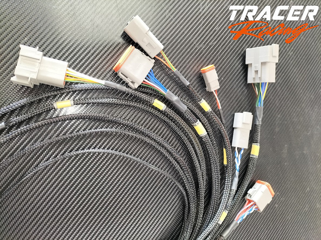 Generic ECUmaster PMU-16 wiring loom