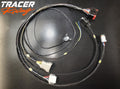 Generic ECUmaster ADU Wiring loom