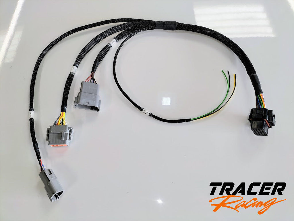 Generic Haltech UC-10 wiring loom