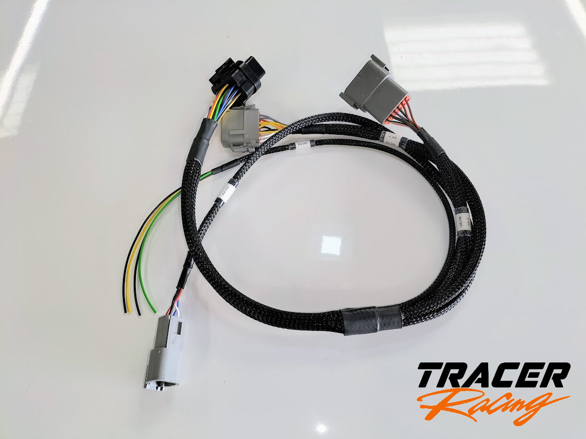 Generic Haltech UC-10 wiring loom